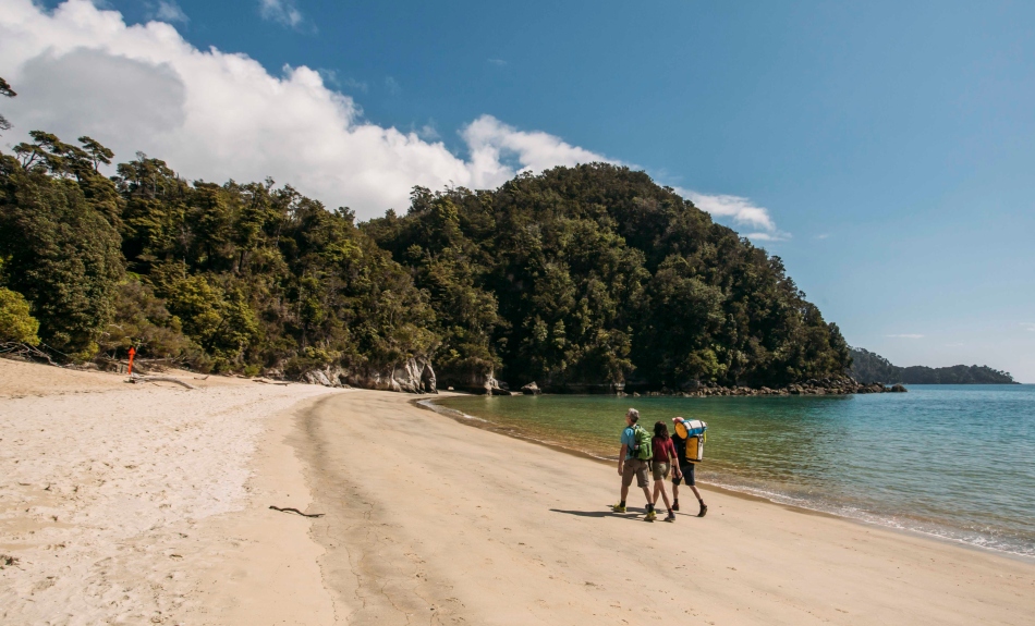 Beach in Abel Tasman