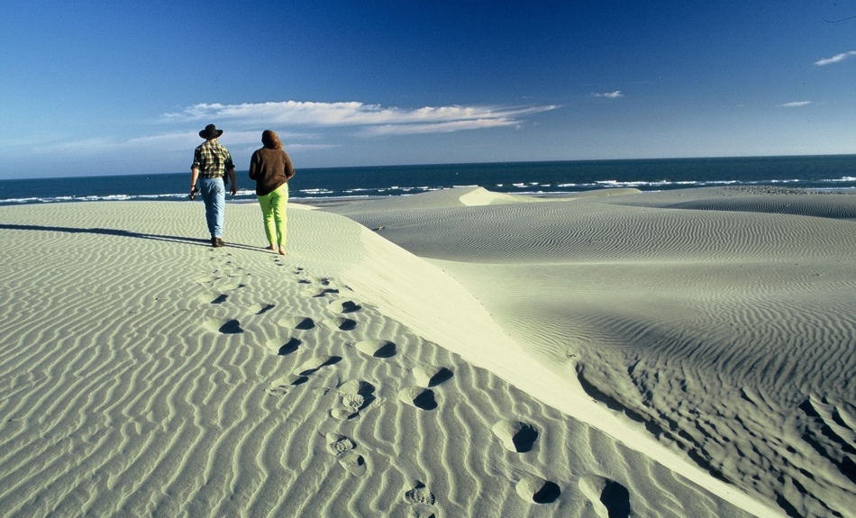 Farewell Spit Eco Tours