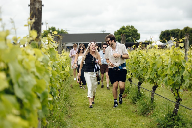 Couple walks through grapevines