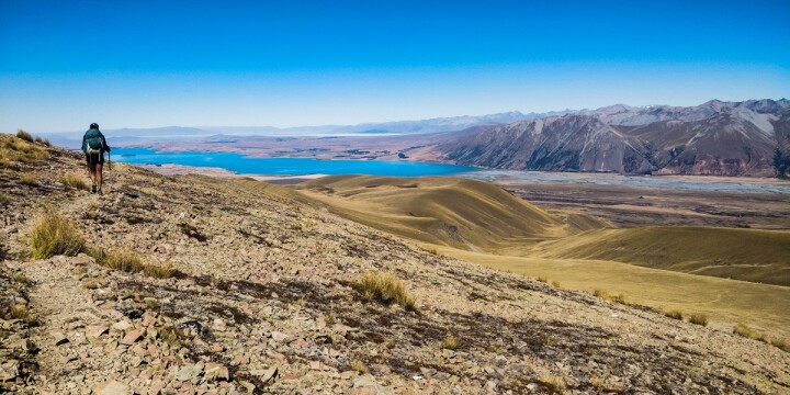 43. Carmen Harji Stag Saddle Lake Tekapo